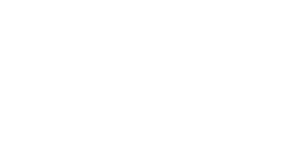 Profesyonel Transport